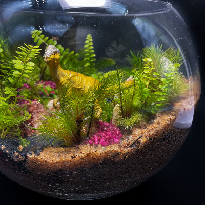 3種類の形のガラスケースから選べる苔テラリウムのワークショップ。