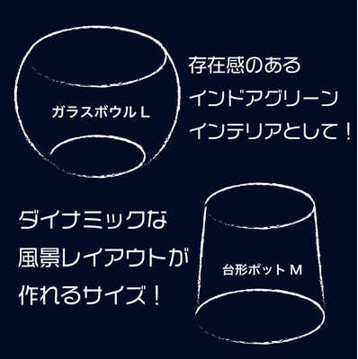 3種類の形のガラスケースから選べる苔テラリウムのワークショップ。