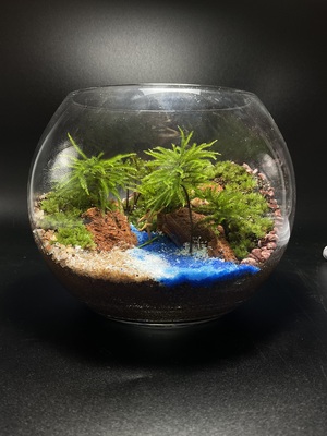 3種類の形のガラスケースから選べる苔テラリウムのワークショップ。