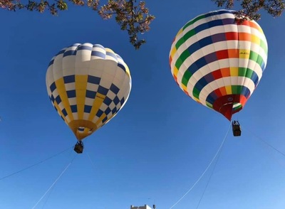 熱気球体験【高度50ｍ】