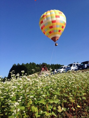 熱気球体験【高度50ｍ】