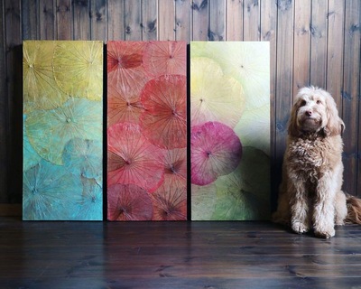 【神奈川/座間”風の谷ハーブ畑_Garden Baum”】-2026年5月17日(日)開催-