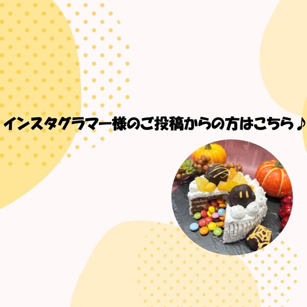 ✨インスタグラマー様のご投稿をご覧になった方はこちらから✨