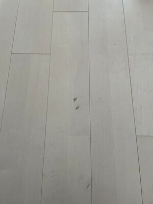 リペア・シート工事のご依頼はこちら