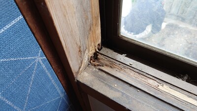 リペア・シート工事のご依頼はこちら