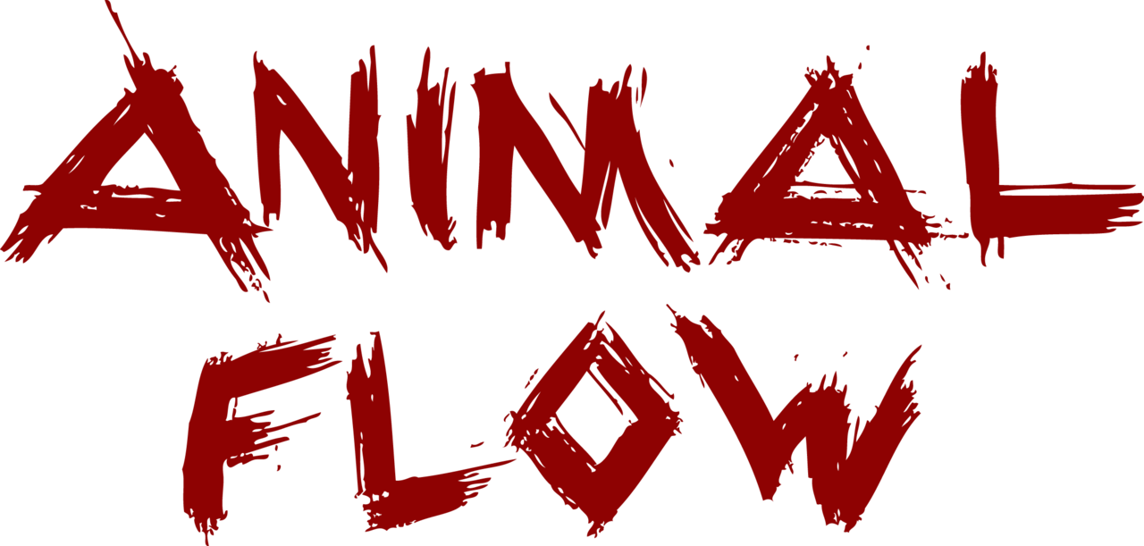 【初級】ANIMAL FLOW(アニマルフロー)