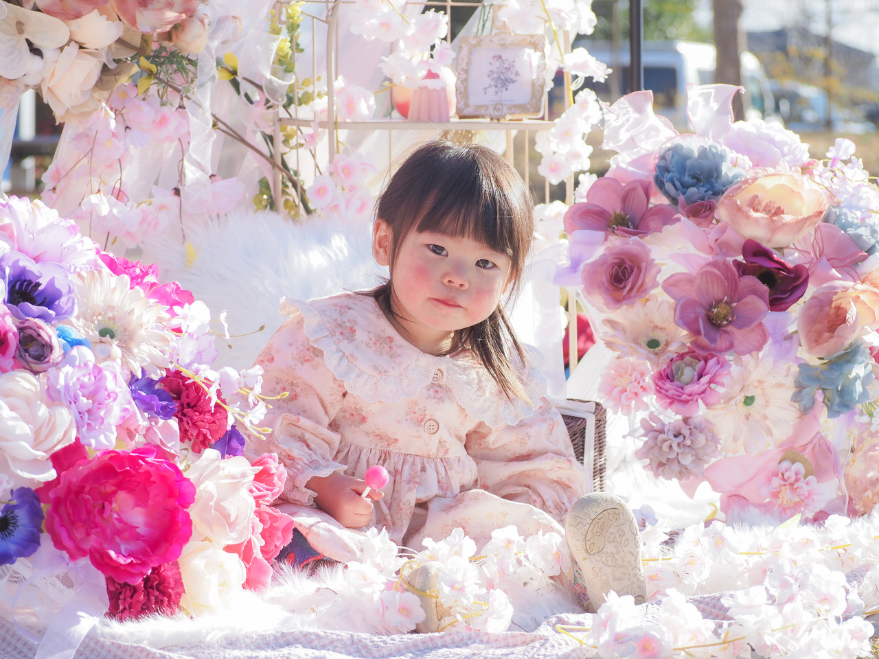 2/28、3/3Flower umbrella撮影会