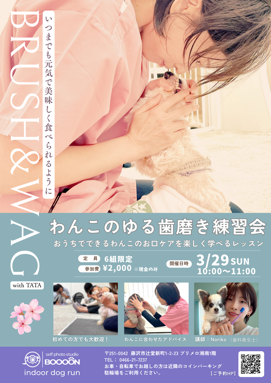 【EVENT】3/29 10:00 わんこのゆる歯磨き練習会vol.6