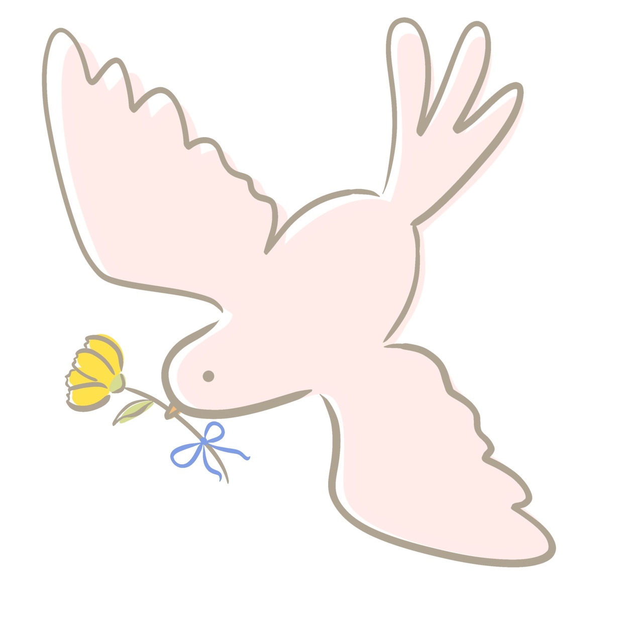 「TOKYOプレコンゼミ」受講者向けプラン（女性用）