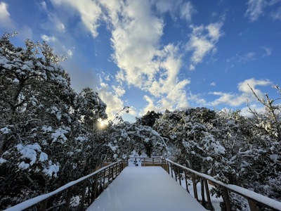 森エリア＆CQBオンリー全日