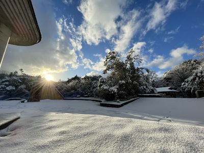 森エリア＆CQBオンリー全日