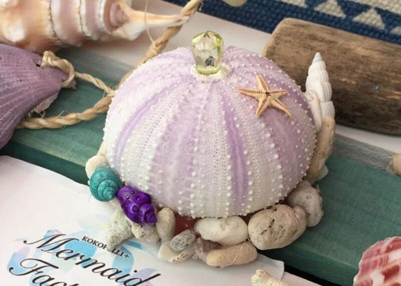 【杉並区浜田山】ウニランプづくり｜2024年5月4日(土)