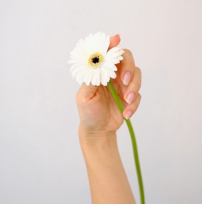 NOKA〈ノカ〉ご予約