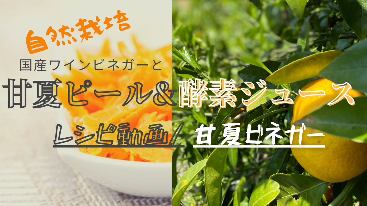 【限定20セット】自然栽培甘夏ピール&甘夏酵素ジュース&甘夏ワインビネガー7つの発酵レシピ