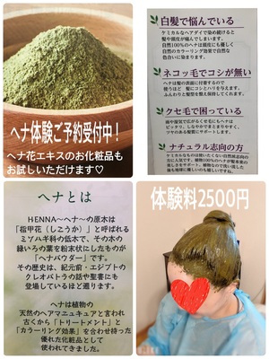 クイーンズヘナ　お試し会セット ヘナ体験教室