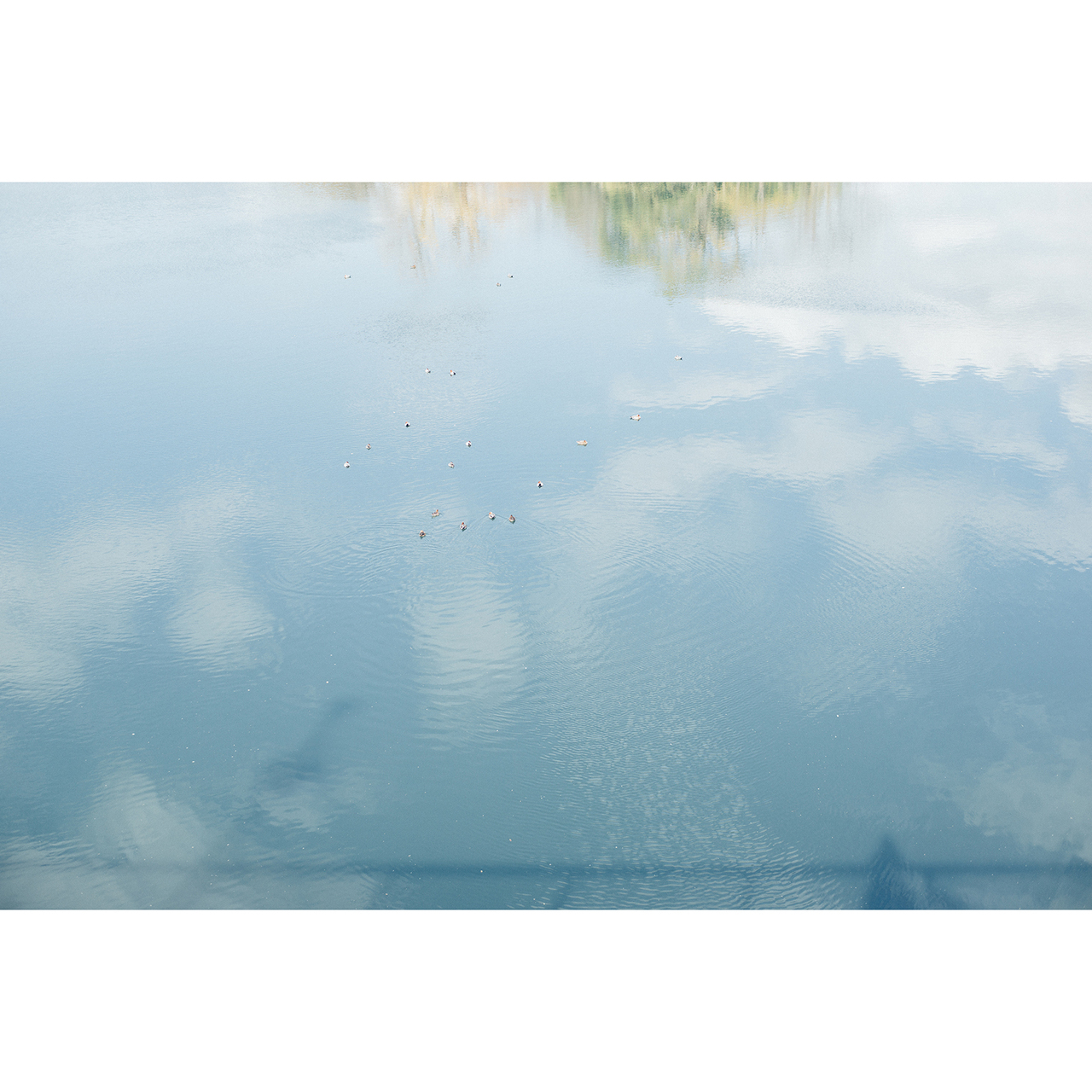 PUENTE 展示会予約