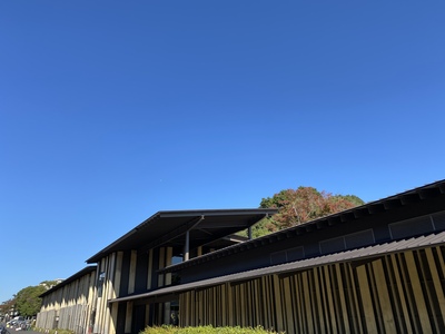 🐸フローヨガ@多摩川せせらぎ館（10/21更新）