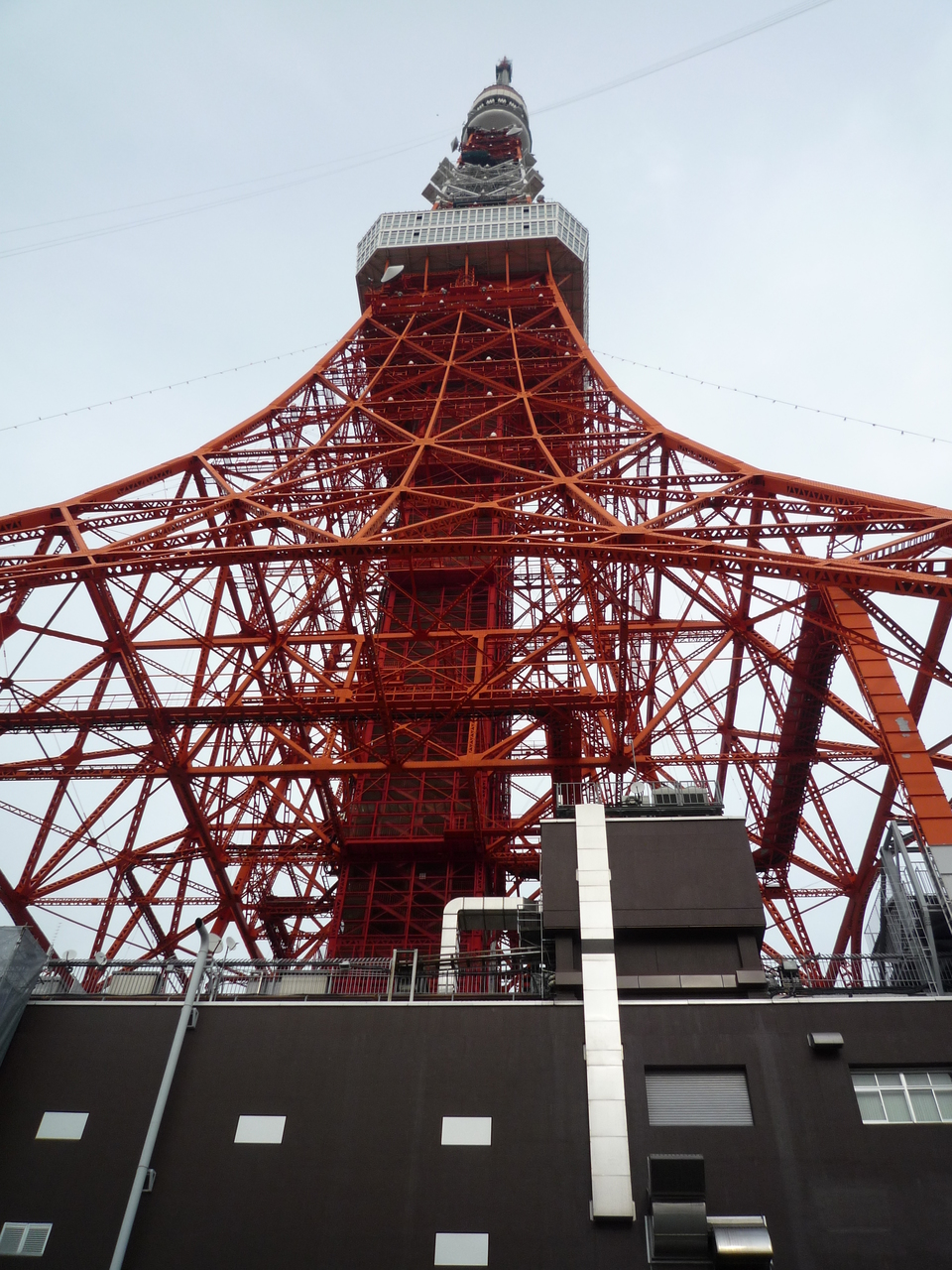 先生一人目　オンライン家庭教師　日曜日