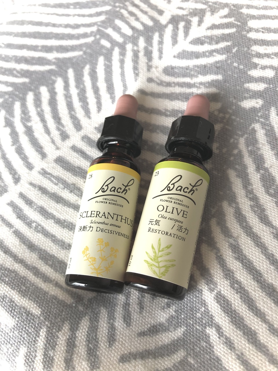 フラワーエッセンスのカウンセリング（３０分〜６０分）