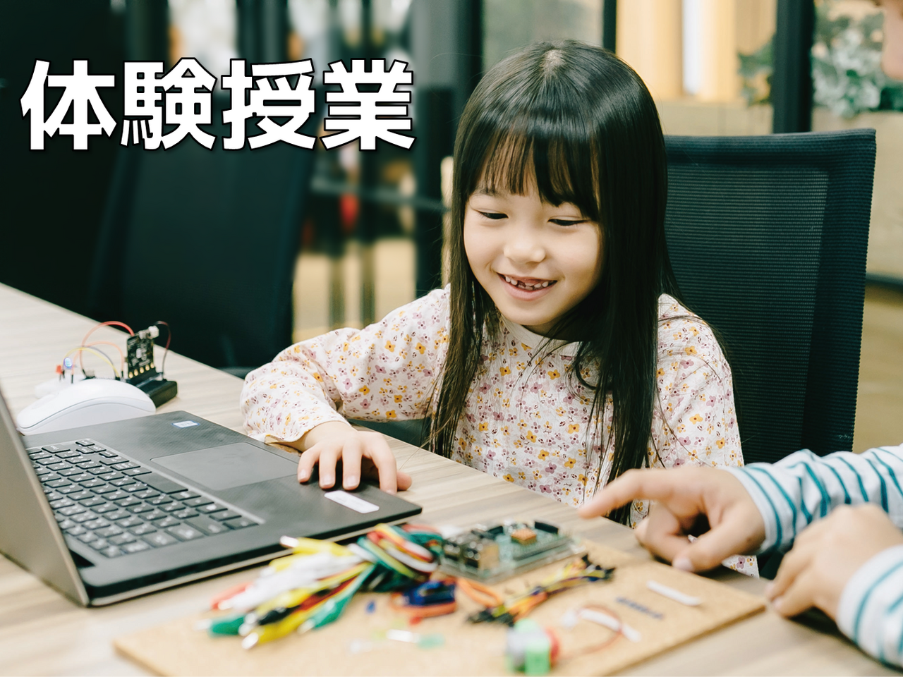 【東京校】無料体験授業のお申込み