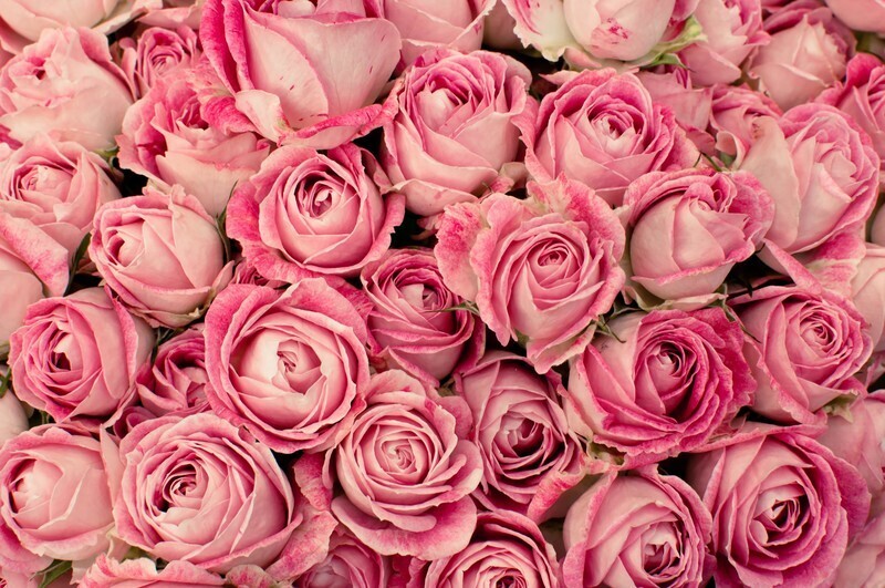 情報空間の書き換え　セッション