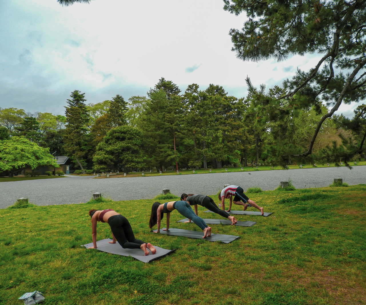 京都御所×ヨガ、朝活ツアー予約