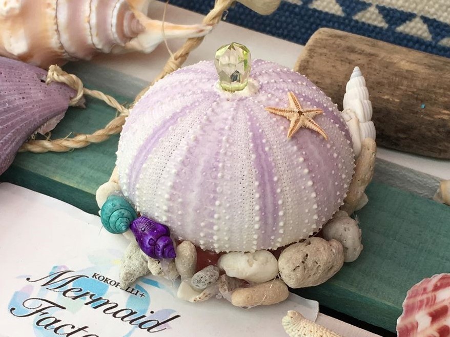 【小平】幻想的な海の神秘にふれよう！“ウニランプ”作り｜2019年7月13日(土)