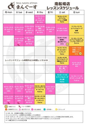 レッスン予約(エアリアル)