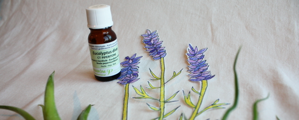 【オンライン】無料レッスン説明会