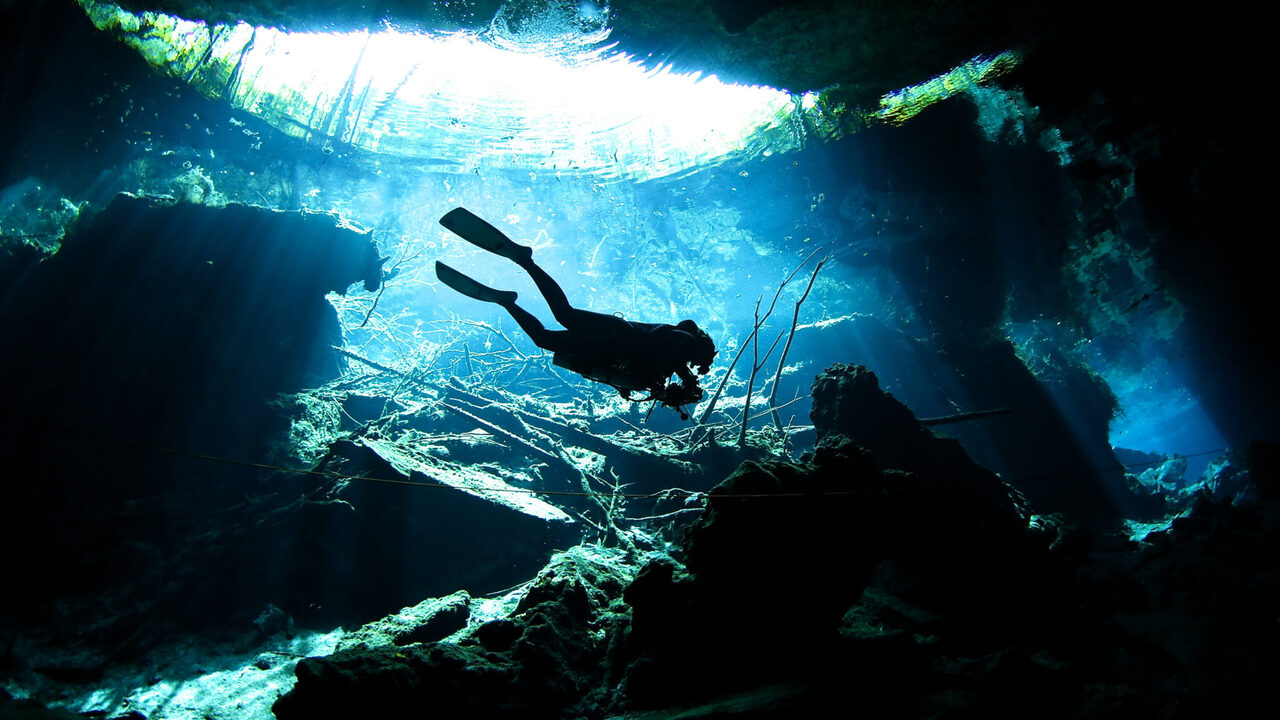 その他SDCスクール予約