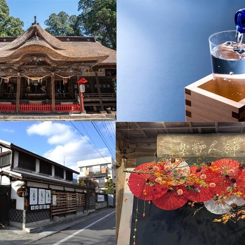 菊とお酒に天弓（テンキュー）！南陽市宮内まち歩き