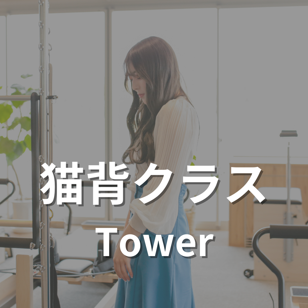 猫背クラス【タワー】