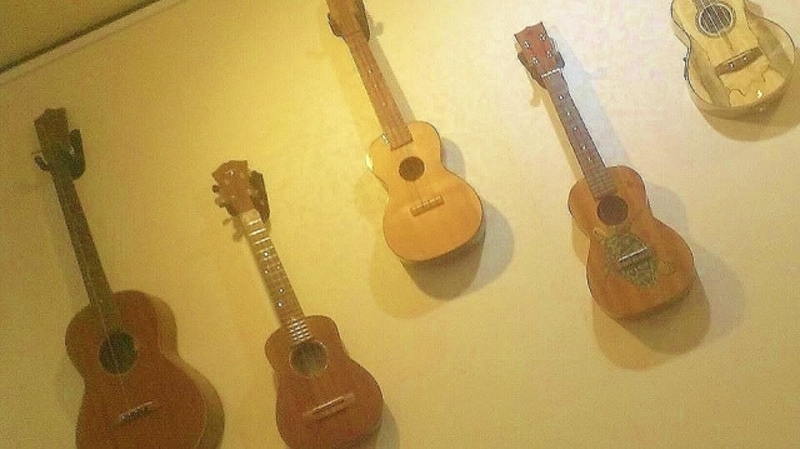 楽弦部【ウクレレとギター教室（初心者クラス）】