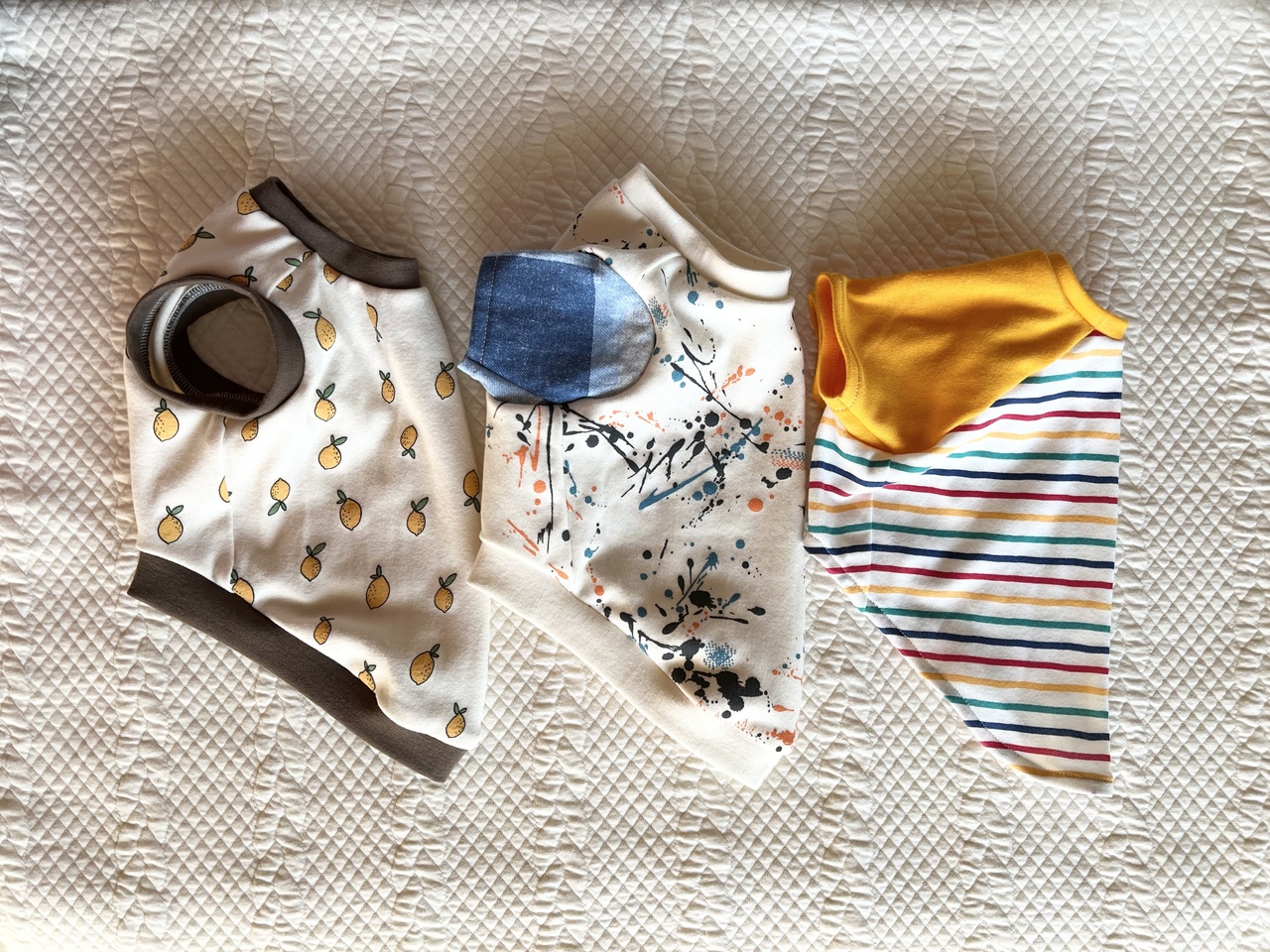 ＊犬服入門講座＊（4時間×3回）