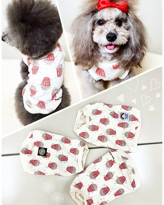 ＊犬服入門講座＊（4時間×3回）