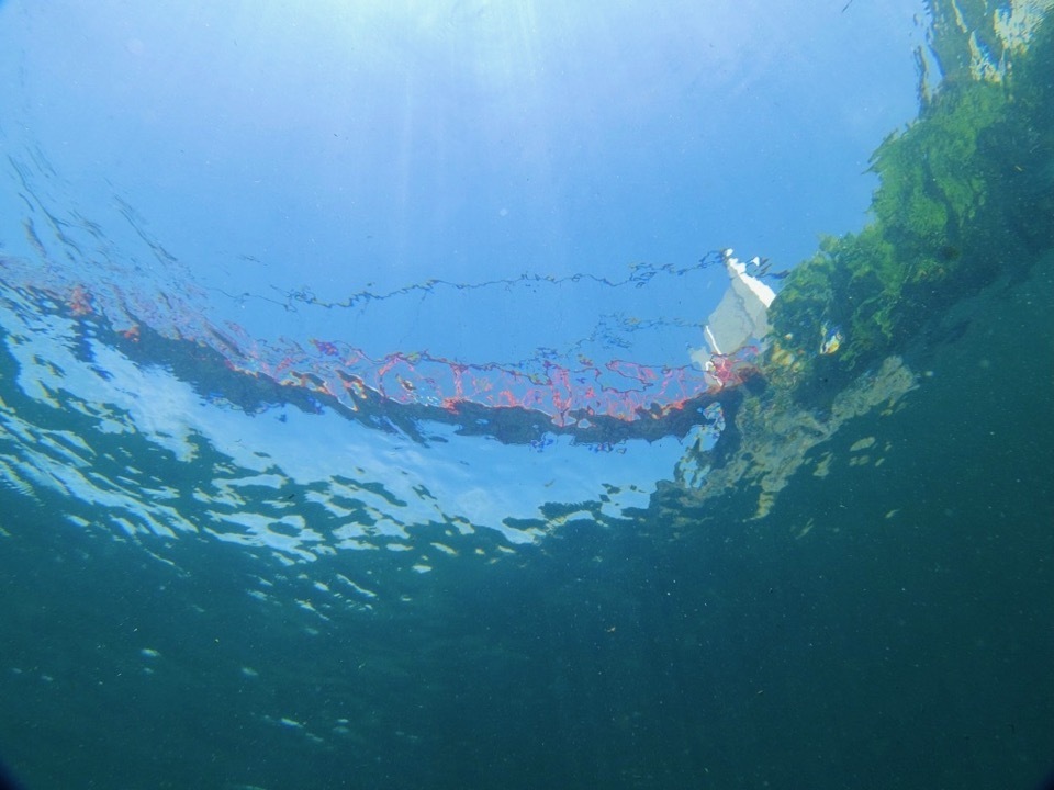 ６月６日(土)朝発１泊２日ツアー　長良川 清流リバーダイブ ＦＤ／リバーダイバーSP