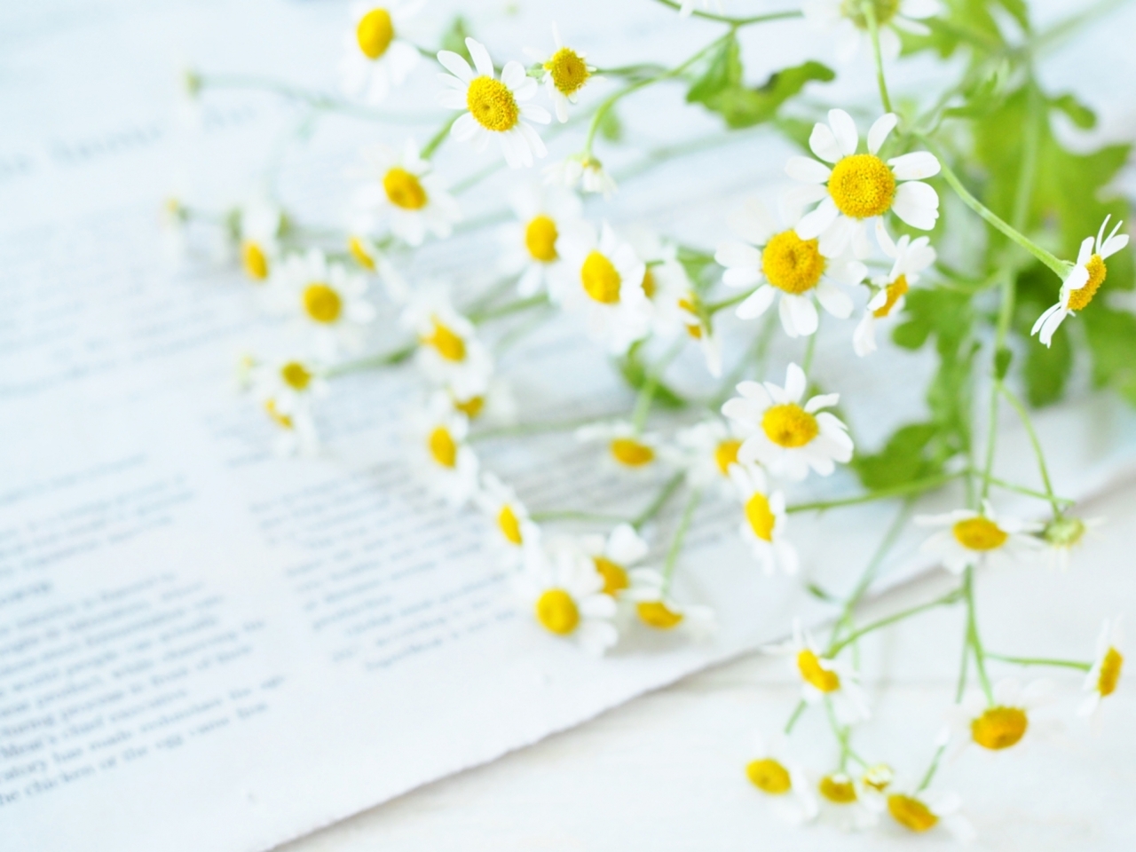 しあわせ家族らぼのご案内