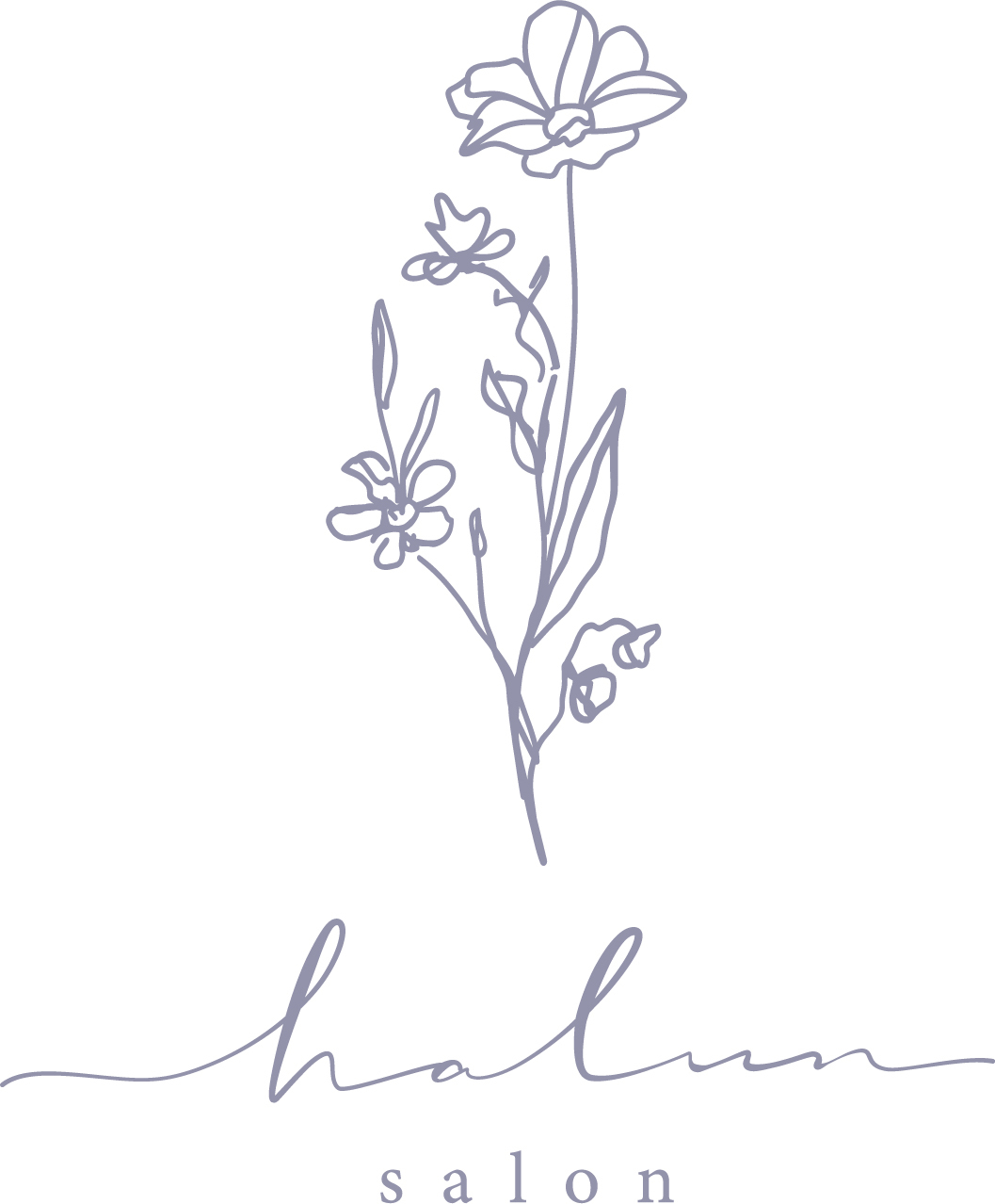 《クーポン・チラシ》