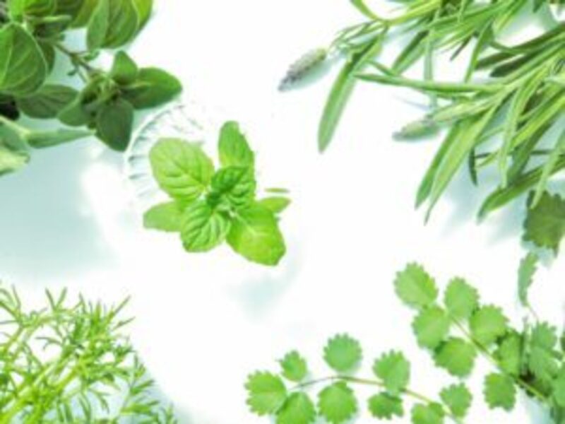 【特別レッスン】アロマヨガ~胸を開いて気持ちを元気に~