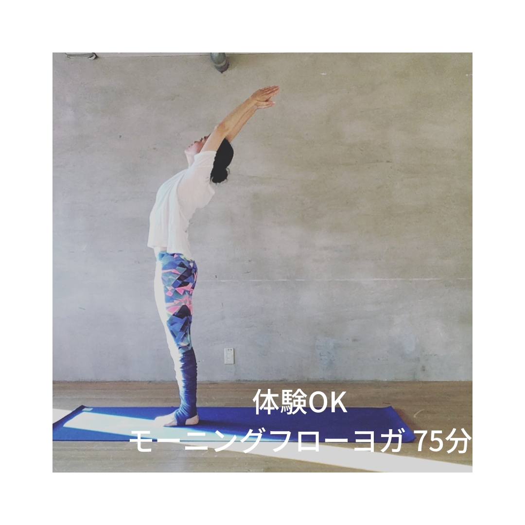 【体験】モーニングフローヨガ75分クラス