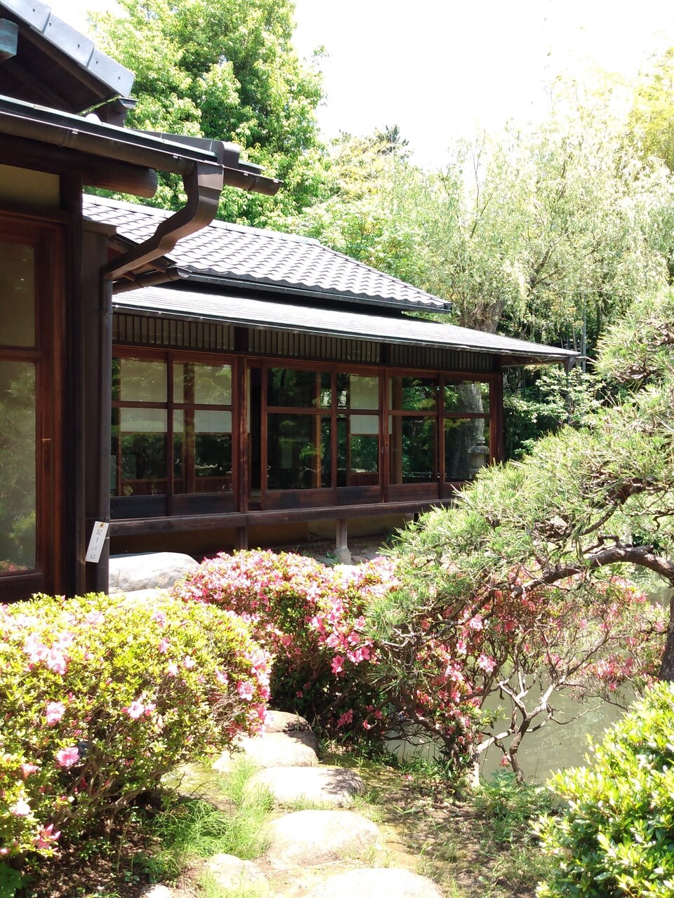 2026年2/14(土)大田区池上梅園 2月梅の会