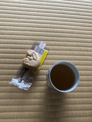 2026年2/14(土)大田区池上梅園 2月梅の会