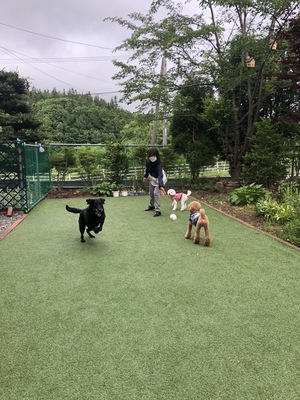 ペットのお預かり予約2