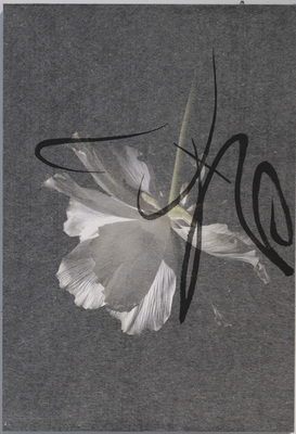 久保京子×春陽　展覧会 『たたなはる～荒神の汀で遊ぶ～』