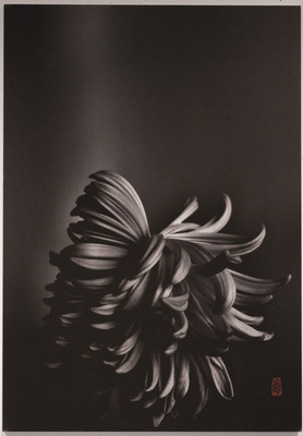 久保京子×春陽　展覧会 『たたなはる～荒神の汀で遊ぶ～』