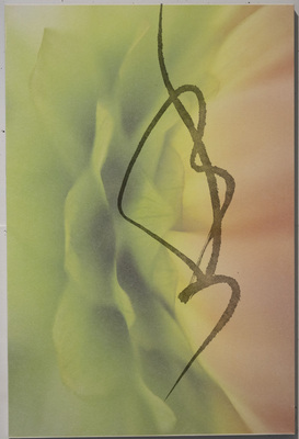 久保京子×春陽　展覧会 『たたなはる～荒神の汀で遊ぶ～』