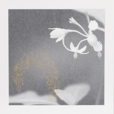 久保京子×春陽　展覧会 『たたなはる～荒神の汀で遊ぶ～』