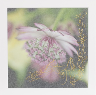 久保京子×春陽　展覧会 『たたなはる～荒神の汀で遊ぶ～』