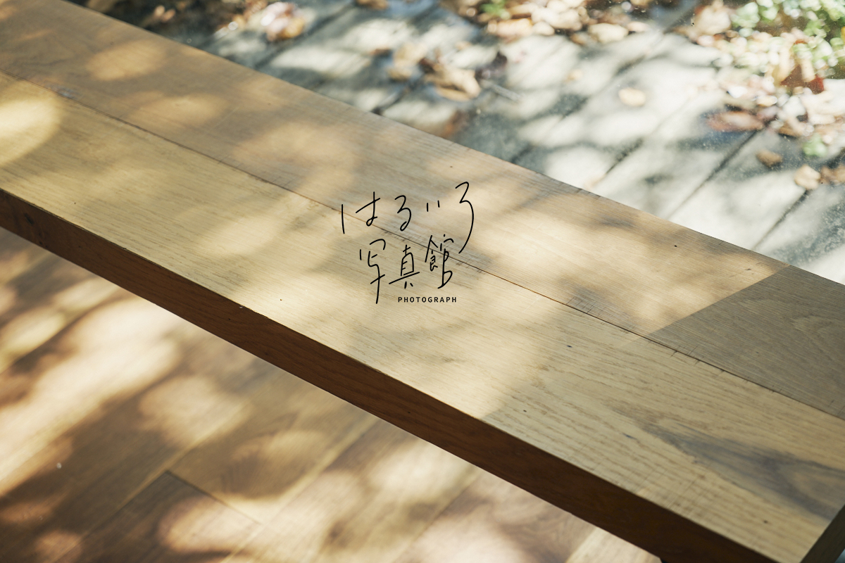 はるいろ写真館