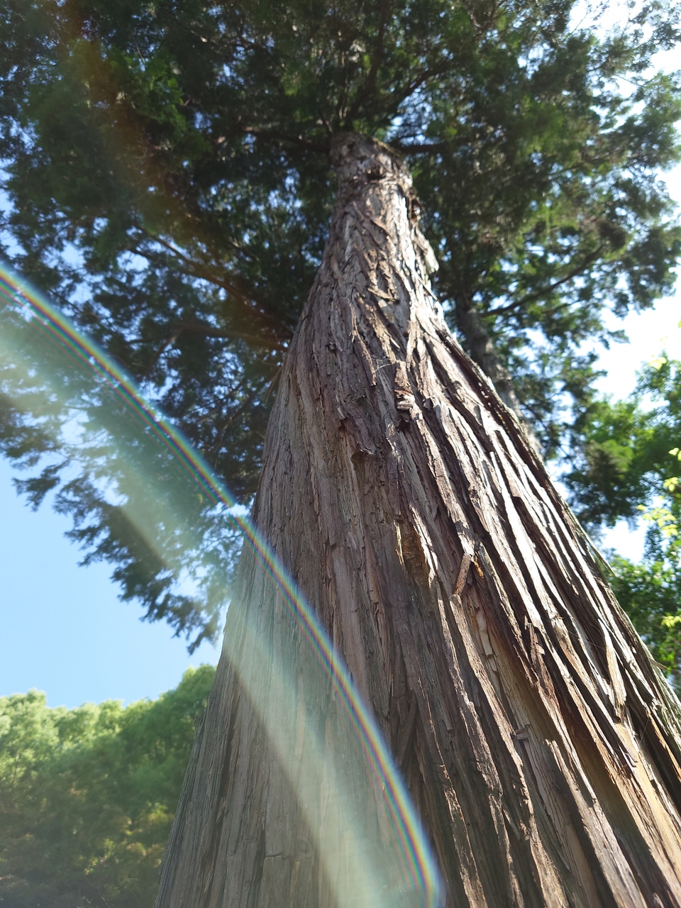 【65歳からはじめる】初心者向　1100円